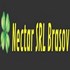 NECTAR SRL Brasov