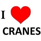 CRANE DEPOT