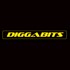 Diggabits Nz Ltd