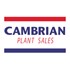 Cambrian Plant Sales