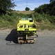 RW1504 Comapactor – RAMMAX for Sale