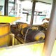 Used TMP- KV 3539 Two point- straight sided - single action Power Press for sale