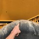 Used Volvo A30D Truck for Sale