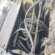 CAT – 2009 – 336D Used Crawler Excavator for Sale