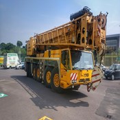 Used Terex AC250-1 All Terrain Telescoping Boom Crane for Sale