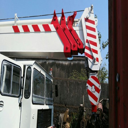 Used Crane RIGO RGT-50 for Sale
