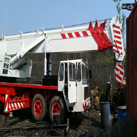 Used Crane RIGO RGT-50 for Sale