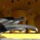 Used BOMAG BW145PDH-3 Compactor for Sale