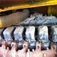 Kato used mobile crane 25t