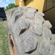 CAT 950F Used Wheel Loader – Year 1995 for Sale