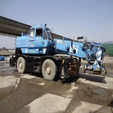 Used TADANO GR-300N-1 Crane for Sale