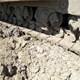 CATERPILLAR  D8N Used Crawler-Dozer for Sale