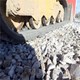   Used CATERPILLAR- 259D Used Skid Steer Loader for Sale