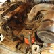 Used CLARK C30 FORKLIFT for Sale
