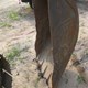 USED EX200-2 HITACHI EXCAVATOR