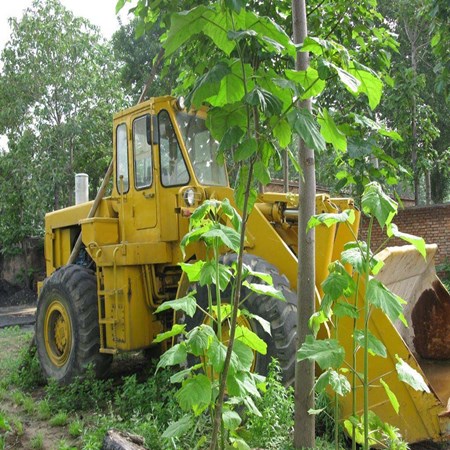 USED KAWASAKI WHEEL LOADER KLD85Z