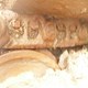 USED HYUNDAY 220-5 