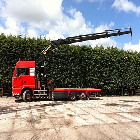 Used PALFINGER PK44002D Crane for sale