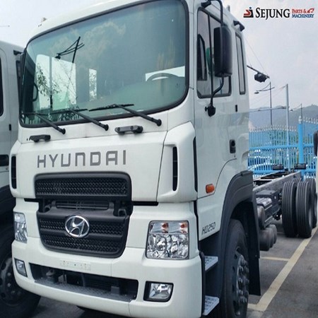 Used HYUNDAI HD250- DUMP Truck for sale