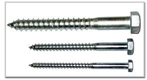 hex lag screw (DIN571)