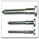 hex lag screw (DIN571)